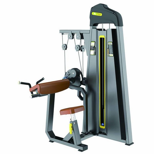 Máquina para curl de biceps/extensión de triceps F86